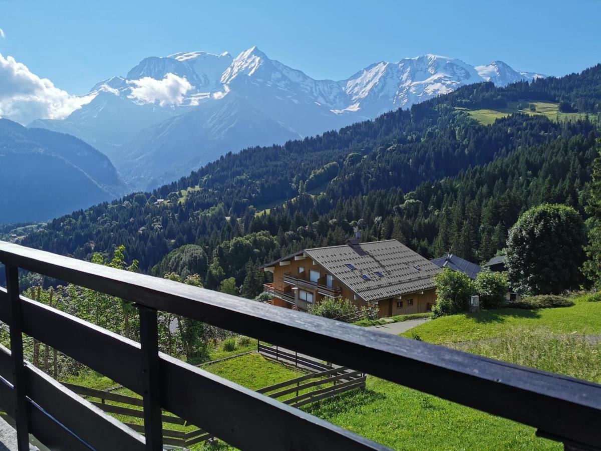 Duo Des Alpages Vue Exceptionnelle Sur Le Mont Blc Apartment *
