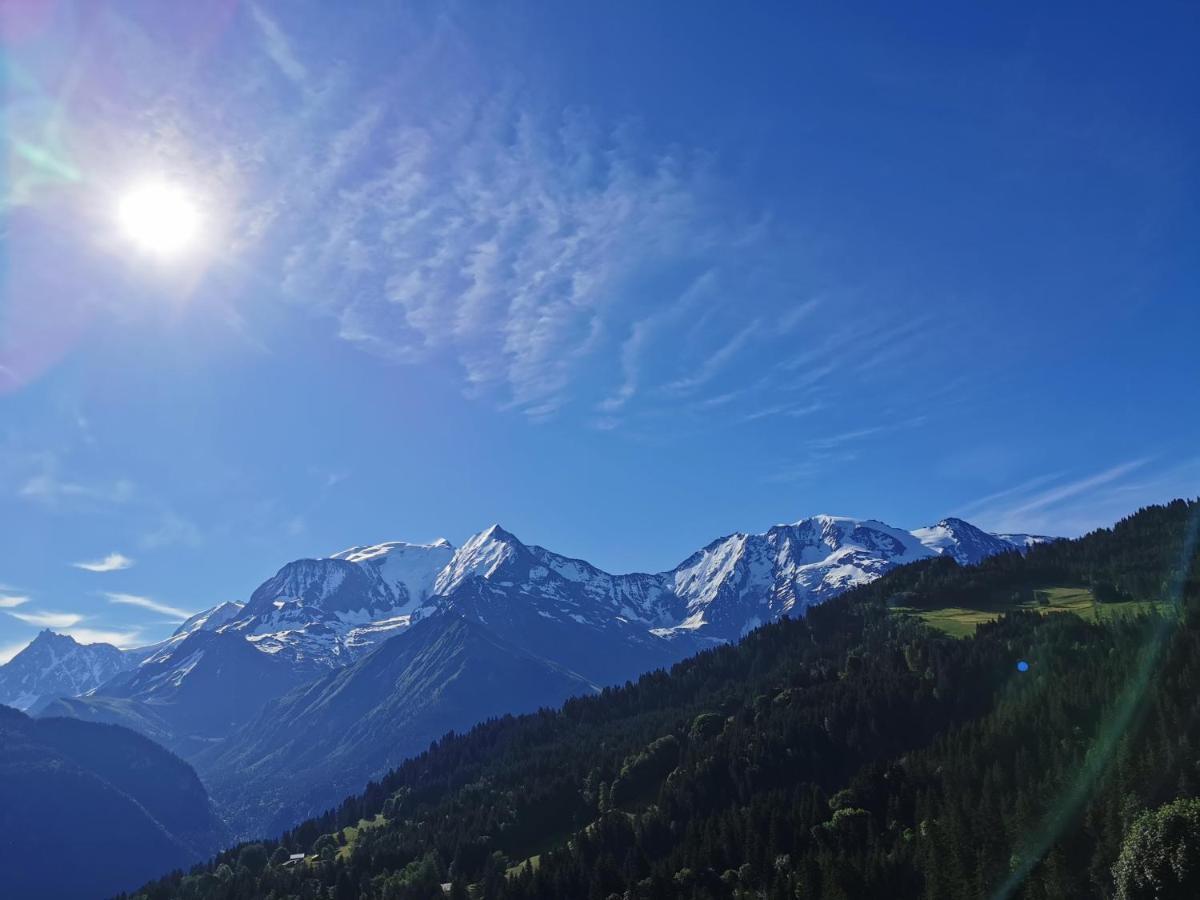 Duo Des Alpages Vue Exceptionnelle Sur Le Mont Blc Apartment Saint-Gervais-les-Bains