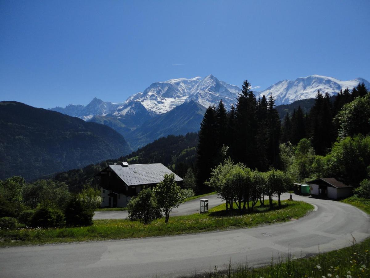 Duo Des Alpages Vue Exceptionnelle Sur Le Mont Blc Apartment *
