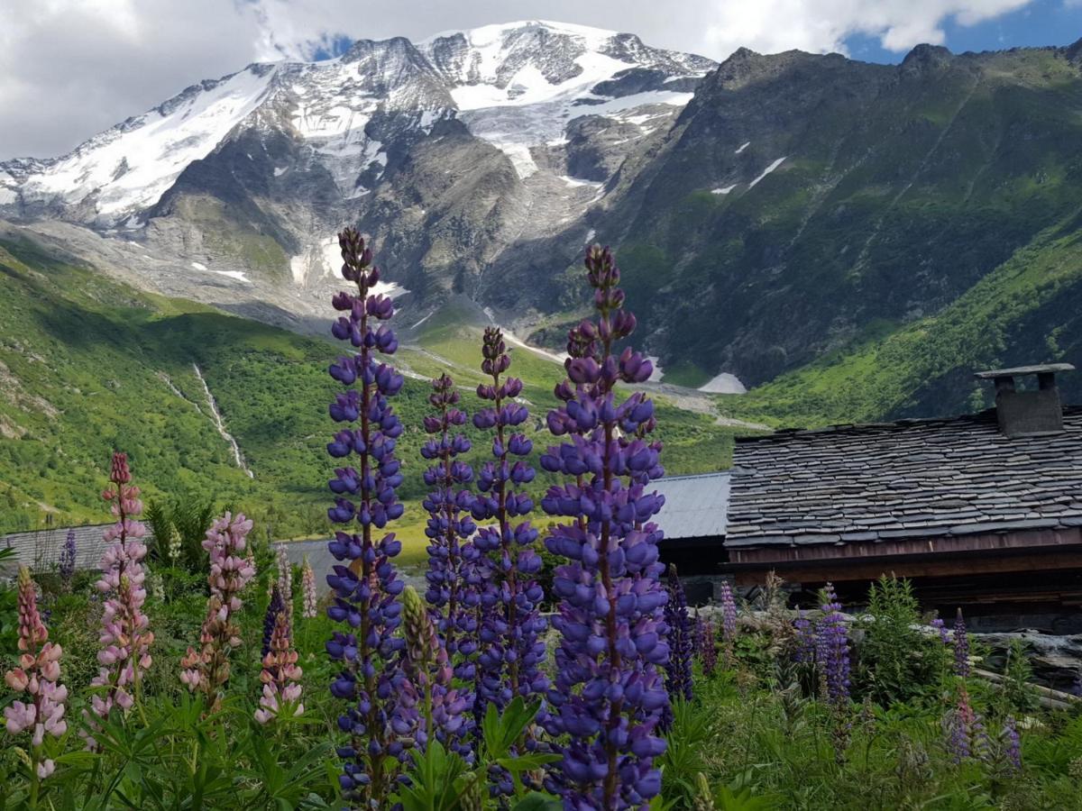 Apartment Duo Des Alpages Vue Exceptionnelle Sur Le Mont Blc Saint-Gervais-les-Bains