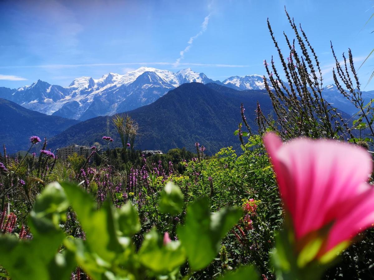 Duo Des Alpages Vue Exceptionnelle Sur Le Mont Blc Apartment