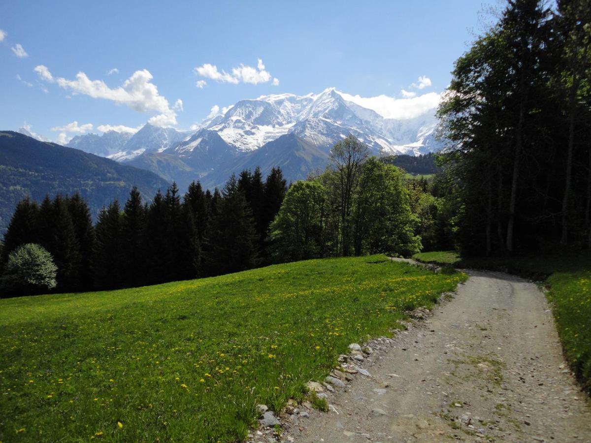 Duo Des Alpages Vue Exceptionnelle Sur Le Mont Blc *