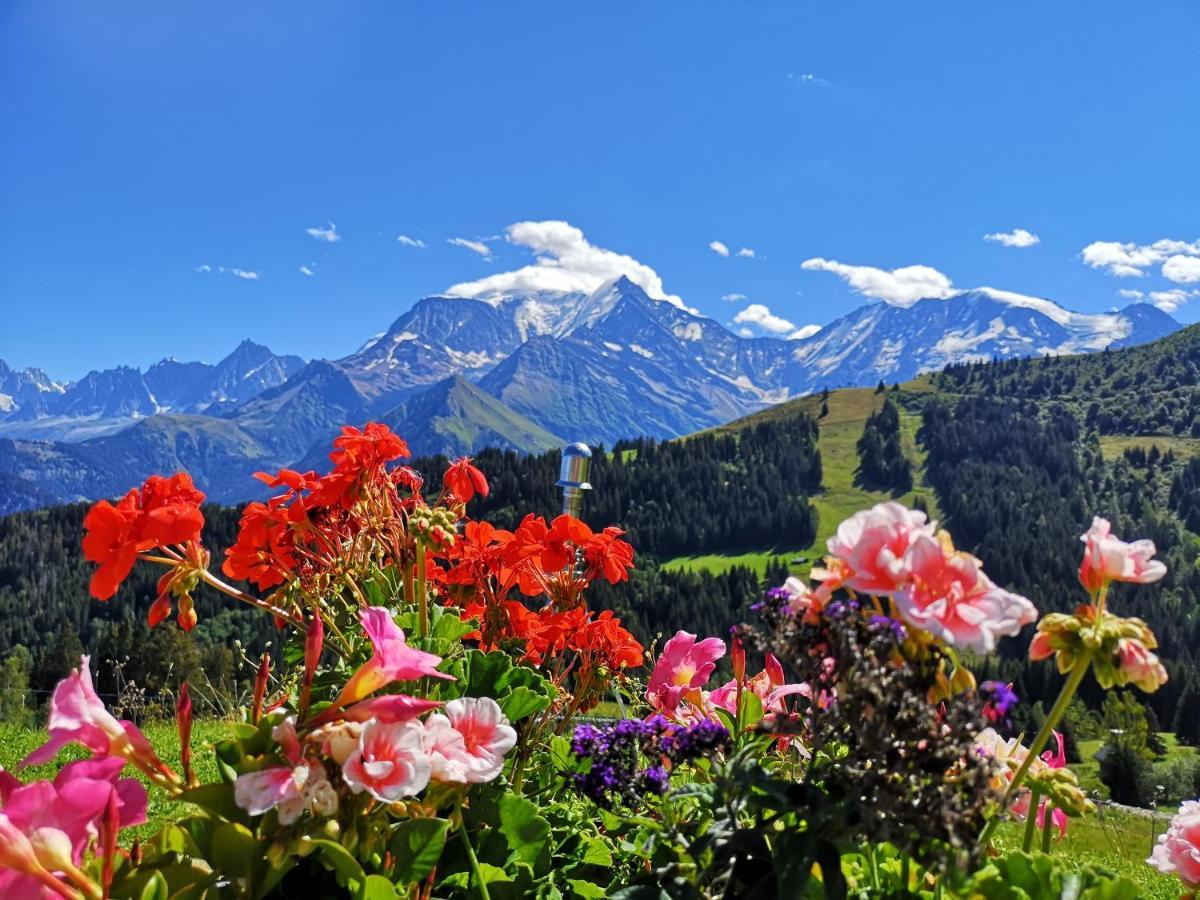 Apartment Duo Des Alpages Vue Exceptionnelle Sur Le Mont Blc