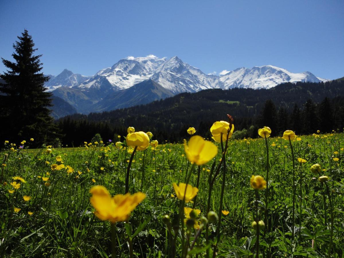 Duo Des Alpages Vue Exceptionnelle Sur Le Mont Blc