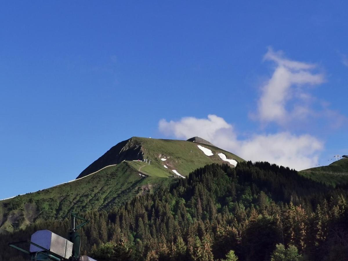 Apartment Duo Des Alpages Vue Exceptionnelle Sur Le Mont Blc