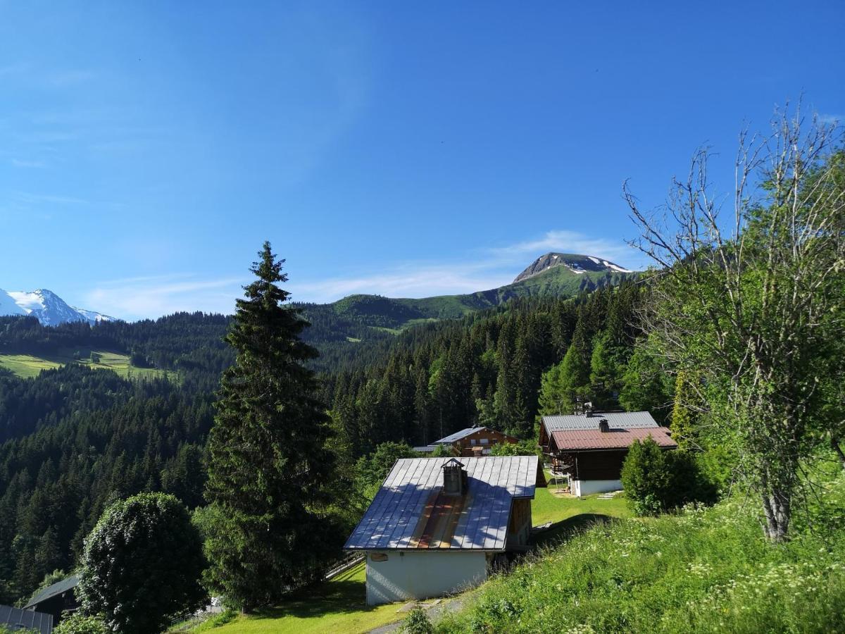 Duo Des Alpages Vue Exceptionnelle Sur Le Mont Blc * Saint-Gervais-les-Bains