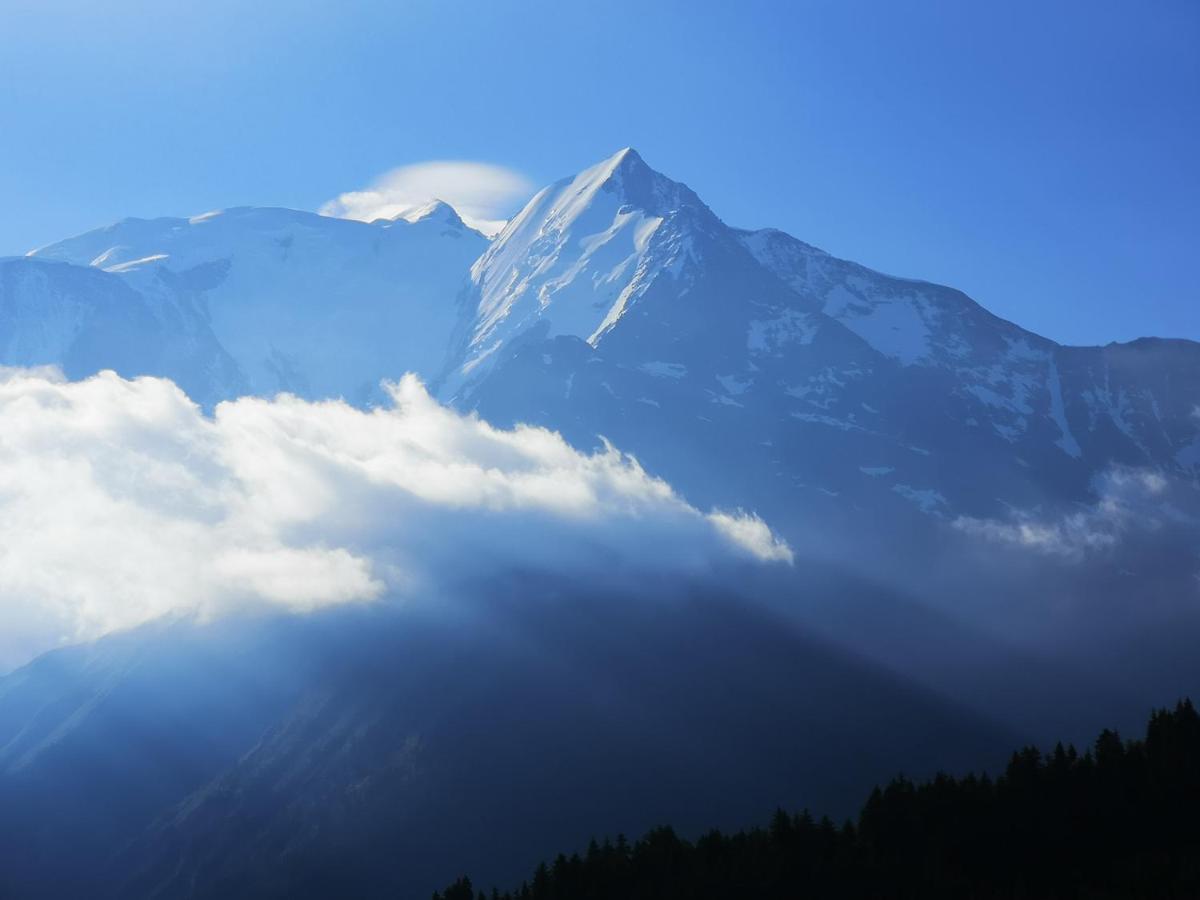 Apartment Duo Des Alpages Vue Exceptionnelle Sur Le Mont Blc
